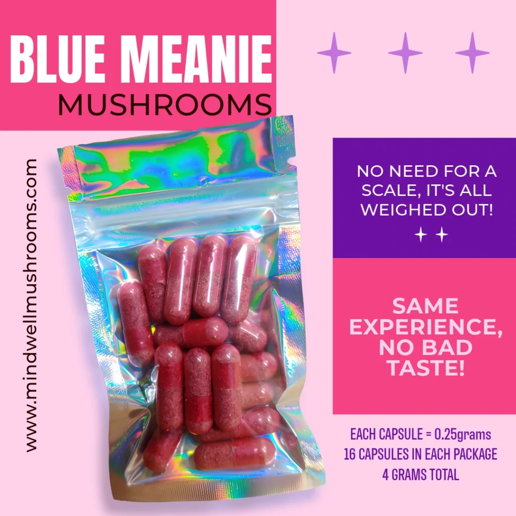 Blue Meanie Psilocybin Mushroom Capsules