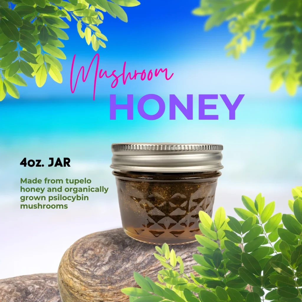 Psilocybin Mushroom Honey - Blue Honey